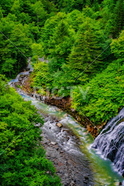 白ひげの滝（北海道美瑛町）