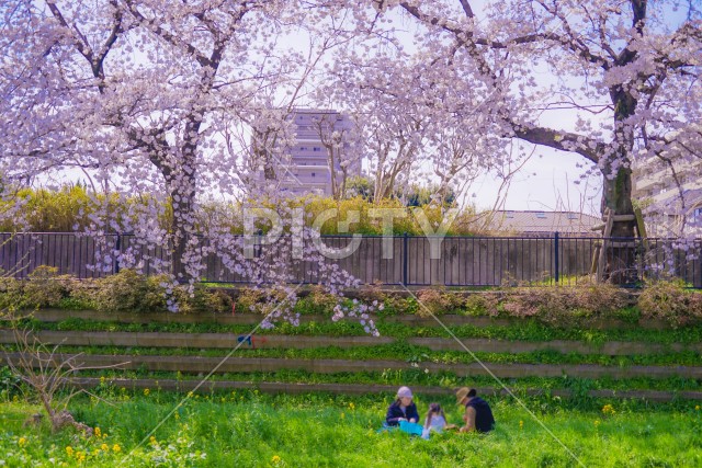 写真のタイトルが入ります