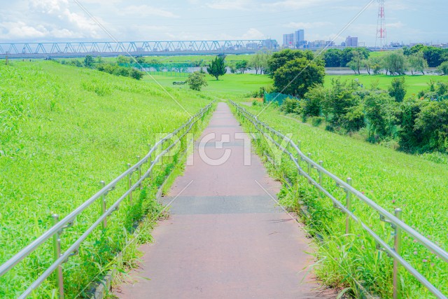 江戸川の河川敷（松戸市矢切）