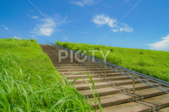 写真のタイトルが入ります