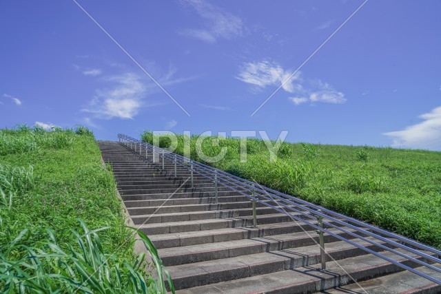 江戸川の河川敷（松戸市矢切）