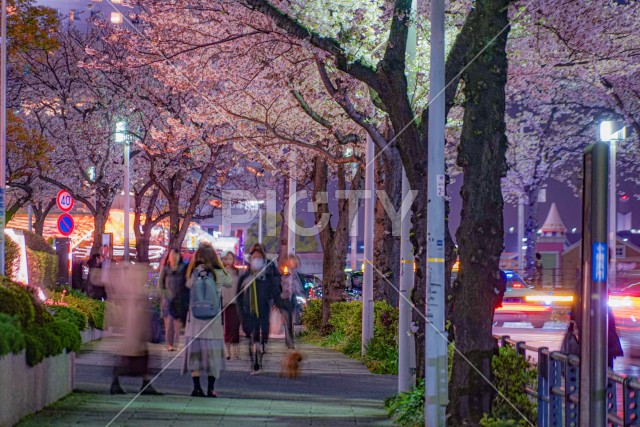 写真のタイトルが入ります