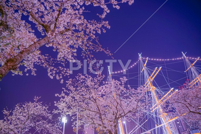 写真のタイトルが入ります