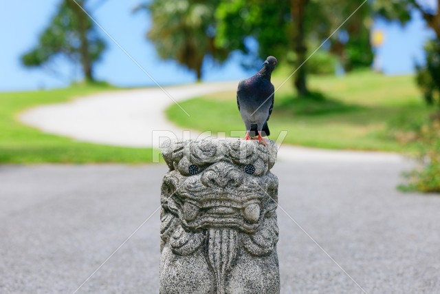 写真のタイトルが入ります