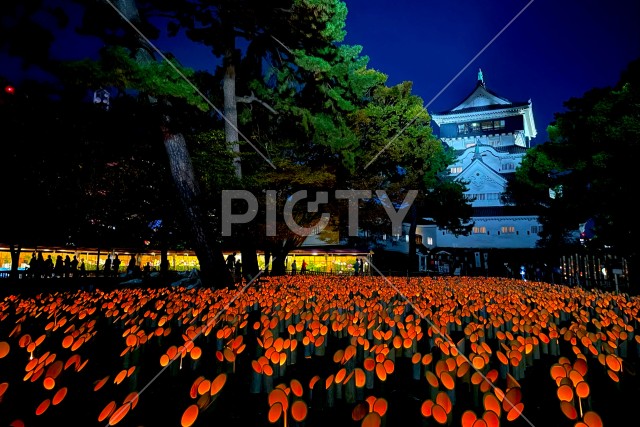 写真のタイトルが入ります