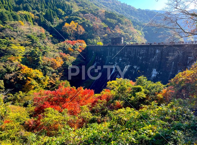 写真のタイトルが入ります