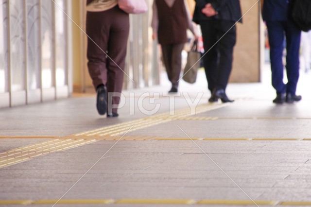 写真のタイトルが入ります