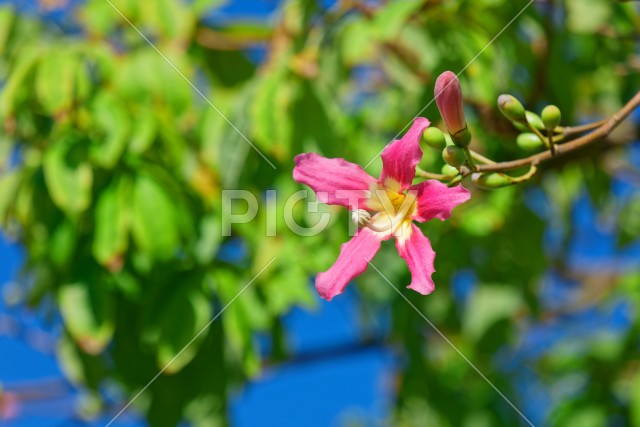 写真のタイトルが入ります