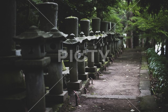 写真のタイトルが入ります