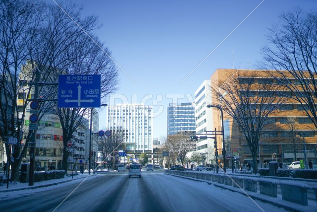 写真のタイトルが入ります
