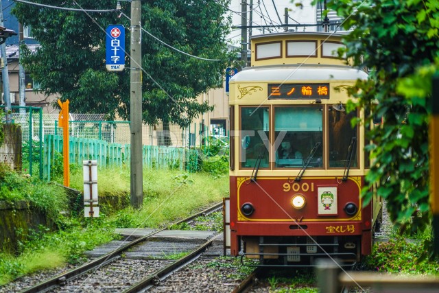 都電荒川線のある風景