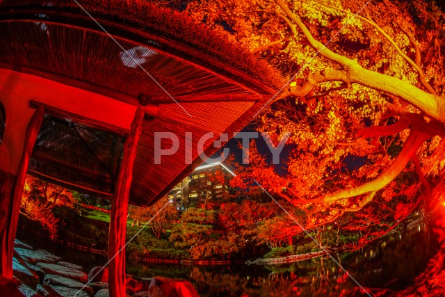 写真のタイトルが入ります