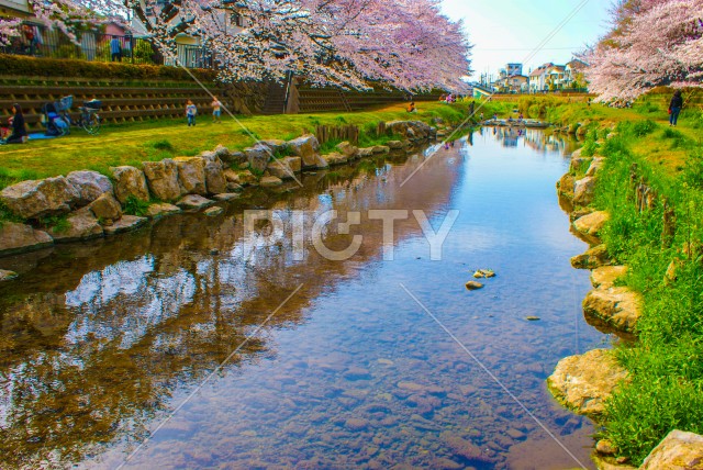 写真のタイトルが入ります