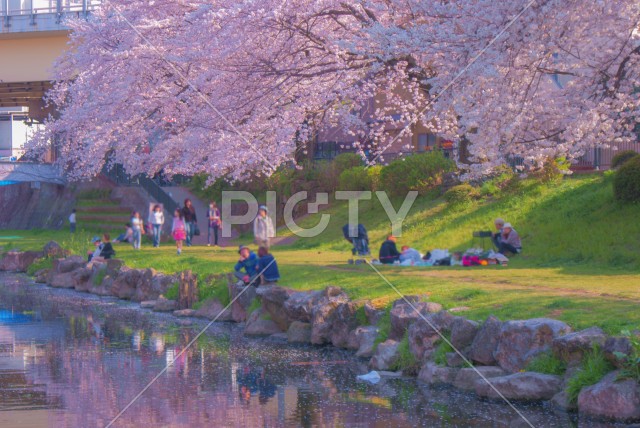 写真のタイトルが入ります
