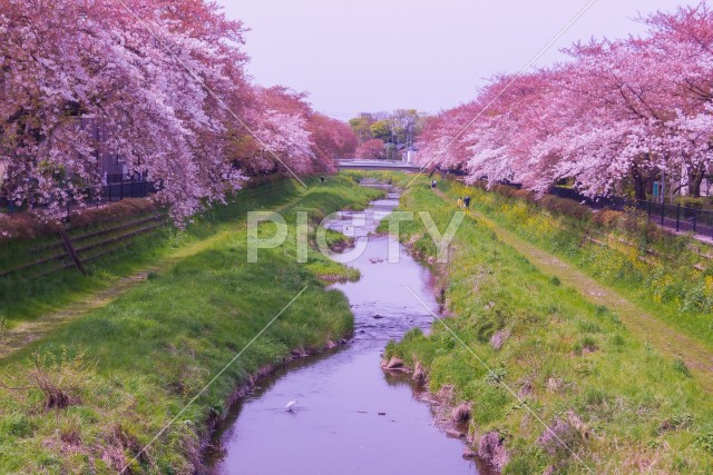 写真のタイトルが入ります