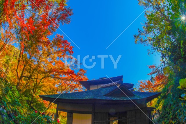 写真のタイトルが入ります