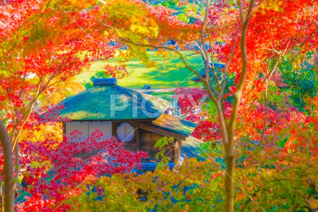 写真のタイトルが入ります