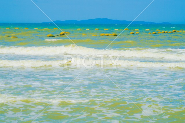 写真のタイトルが入ります
