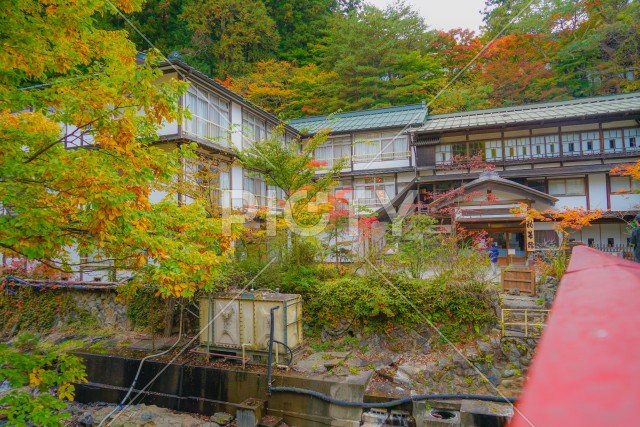 写真のタイトルが入ります