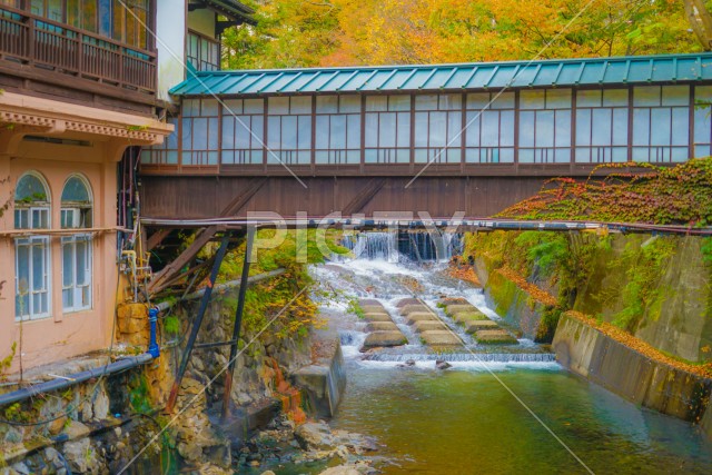 写真のタイトルが入ります
