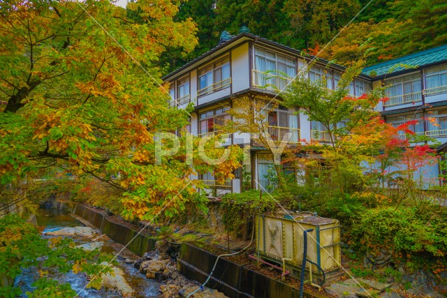 写真のタイトルが入ります