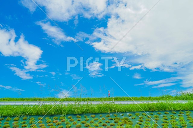 写真のタイトルが入ります