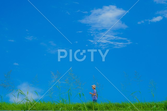 写真のタイトルが入ります