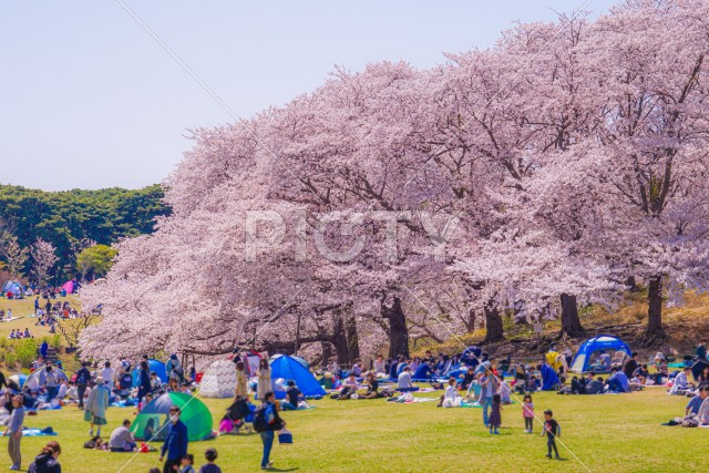 写真のタイトルが入ります