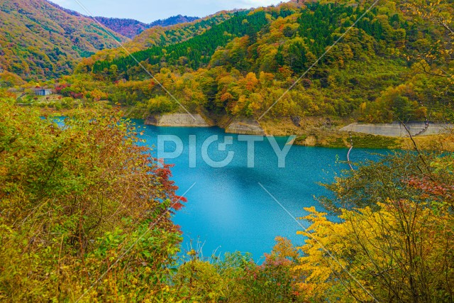 写真のタイトルが入ります
