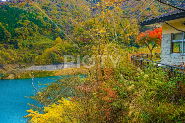 写真のタイトルが入ります