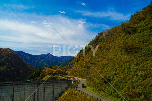 写真のタイトルが入ります