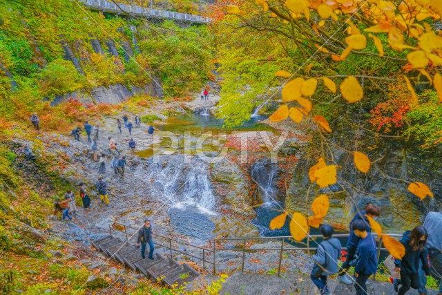 写真のタイトルが入ります