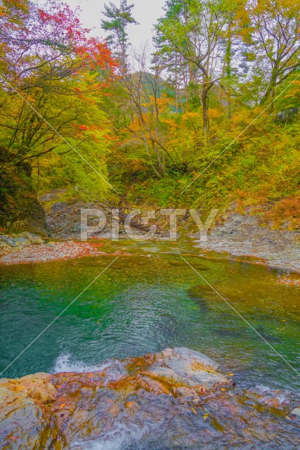 写真のタイトルが入ります