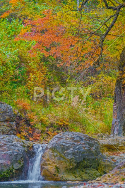 写真のタイトルが入ります
