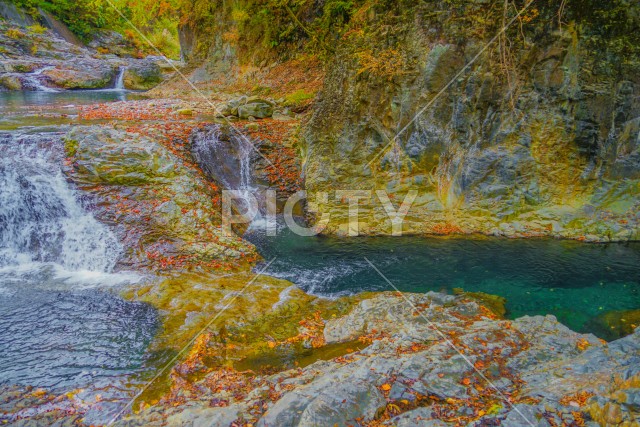 写真のタイトルが入ります