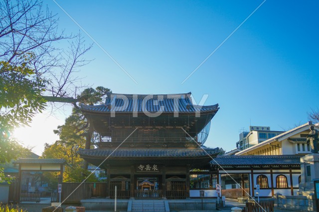 写真のタイトルが入ります