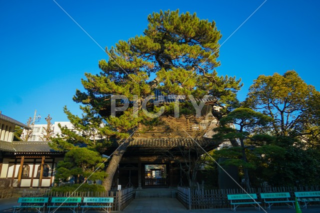 写真のタイトルが入ります
