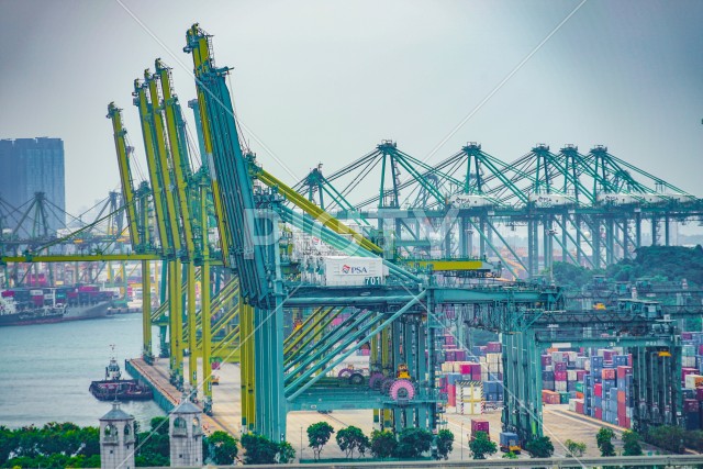 写真のタイトルが入ります