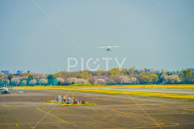 写真のタイトルが入ります