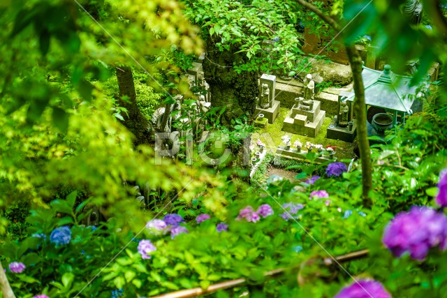 写真のタイトルが入ります
