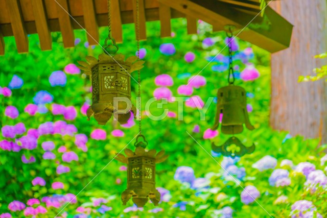 写真のタイトルが入ります