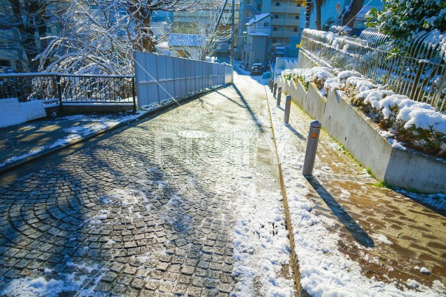 写真のタイトルが入ります