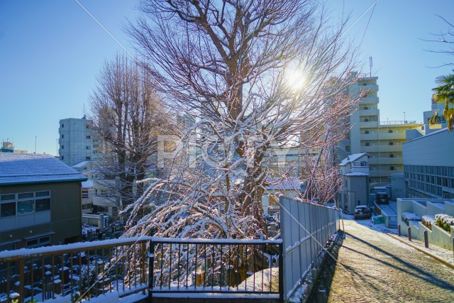 写真のタイトルが入ります