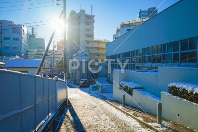 写真のタイトルが入ります