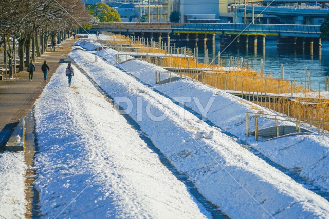 写真のタイトルが入ります
