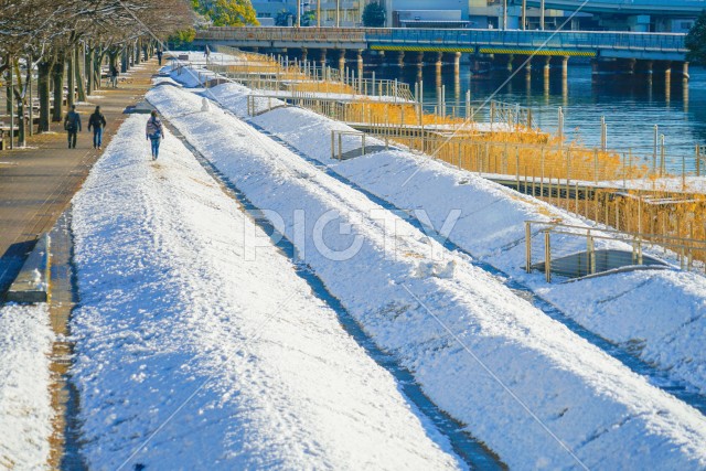 雪に包まれる横浜市神奈川区