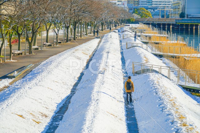 雪に包まれる横浜市神奈川区