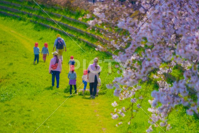 写真のタイトルが入ります