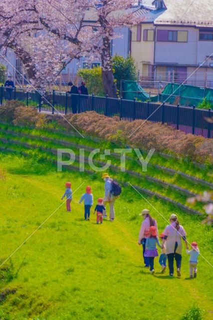 写真のタイトルが入ります