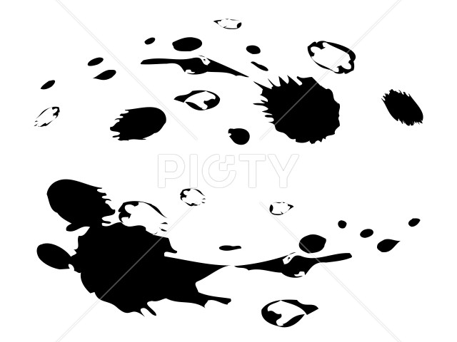 写真のタイトルが入ります
